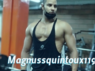 Magnussquintoux119