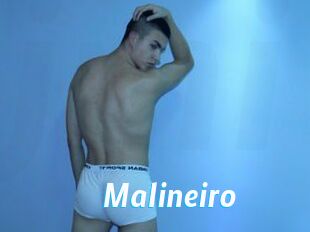 Malineiro