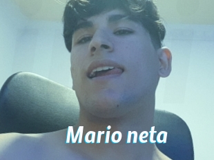 Mario_neta