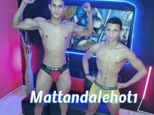 Mattandalehot1