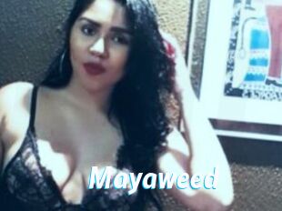 Mayaweed
