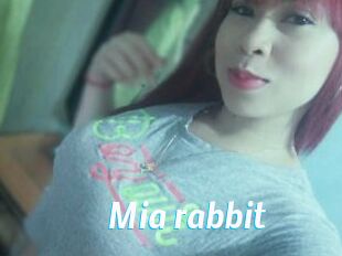 Mia_rabbit