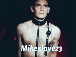 Mikeslave23