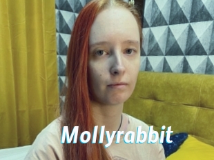 Mollyrabbit