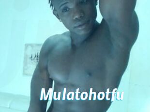 Mulatohotfu