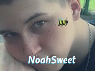NoahSweet