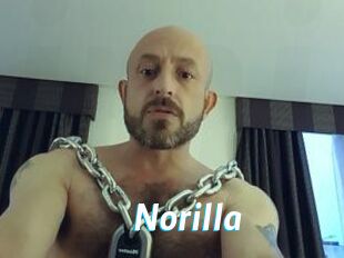 Norilla J Mine
