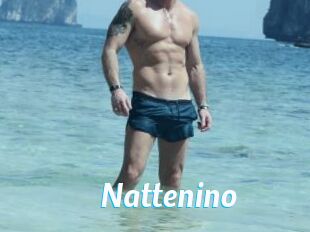 Nattenino