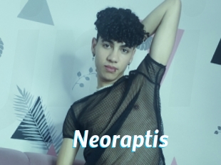 Neoraptis