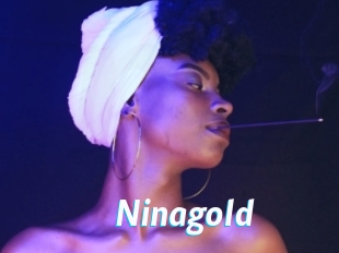 ninagold J Mine