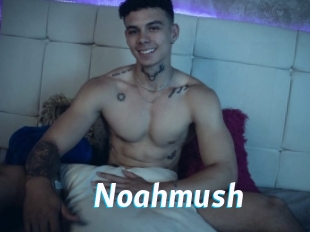 Noahmush