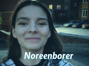 Noreenborer