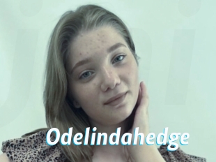 Odelindahedge