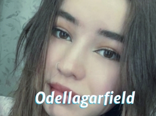Odellagarfield