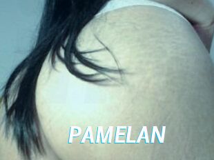 PAMELA_N