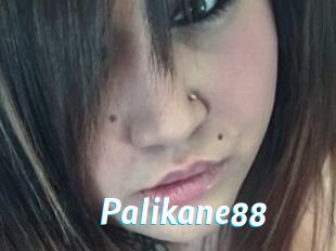 Palikane88