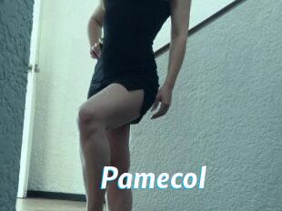 Pamecol