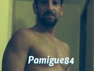 Pamigue84