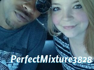 PerfectMixture3828