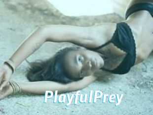 PlayfulPrey