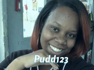 Pudd123