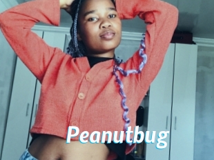 Peanutbug