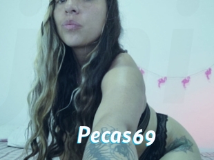 Pecas69