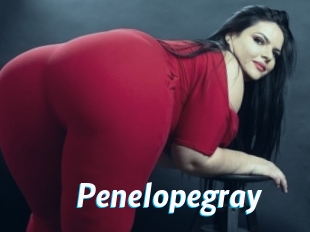 Penelopegray