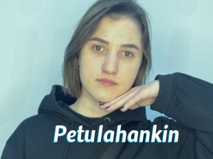 Petulahankin