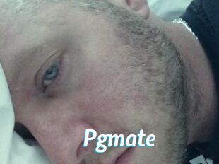 Pgmate