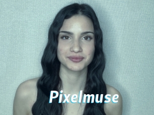 Pixelmuse