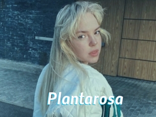 Plantarosa