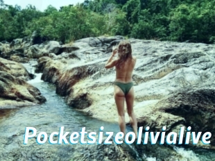 Pocketsizeolivialive