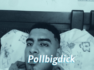 Pollbigdick