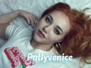 Pollyvenice