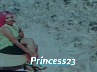 Princess23