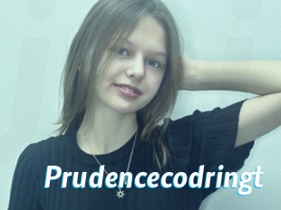 Prudencecodringt