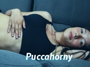 Puccahorny