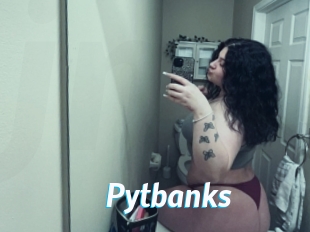 Pytbanks