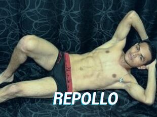 REPOLLO