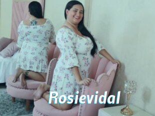 rosievidal J Mine