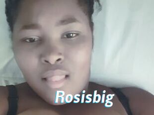 Rosisbig