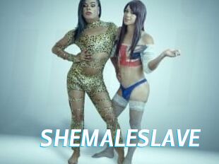 SHEMALESLAVE