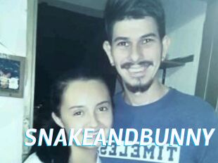 SNAKEANDBUNNY