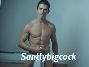 Santtybigcock