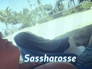 Sassharosse