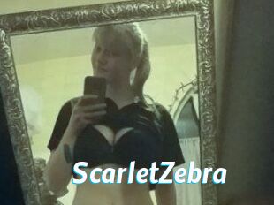 Scarlet_Zebra