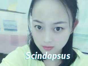 Scindapsus