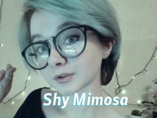 Shy_Mimosa