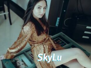 SkyLu